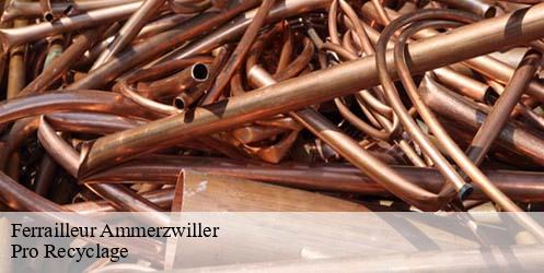 Ferrailleur  ammerzwiller-68210 Pro Recyclage 