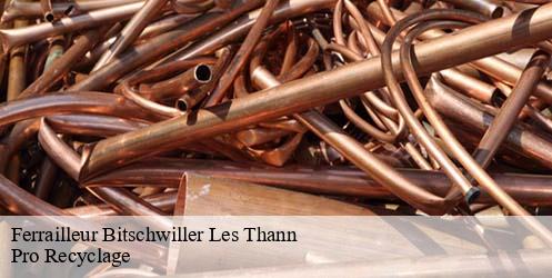 Ferrailleur  bitschwiller-les-thann-68620 Pro Recyclage 