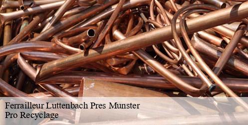 Ferrailleur  luttenbach-pres-munster-68140 Pro Recyclage 