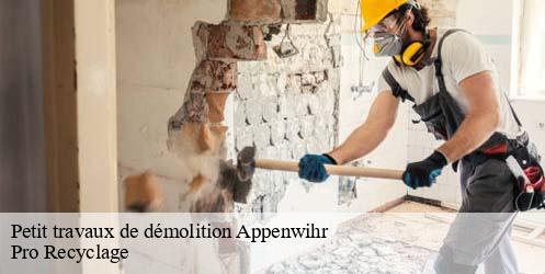 Petit travaux de démolition  appenwihr-68280 Pro Recyclage 