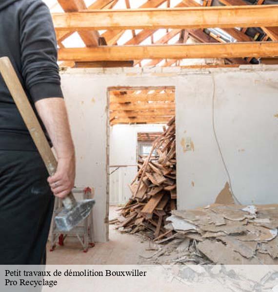 Petit travaux de démolition bouxwiller-68480 Pro Recyclage