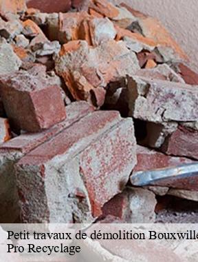 Petit travaux de démolition bouxwiller-68480 Pro Recyclage