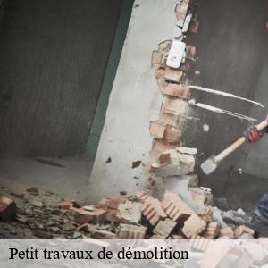 Petit travaux de démolition buhl-68530 Pro Recyclage