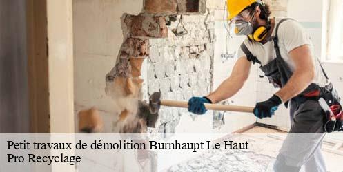 Petit travaux de démolition  burnhaupt-le-haut-68520 Pro Recyclage 