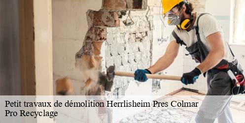 Petit travaux de démolition  herrlisheim-pres-colmar-68420 Pro Recyclage 