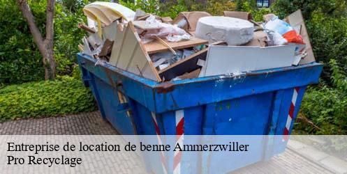 Entreprise de location de benne  ammerzwiller-68210 Pro Recyclage 