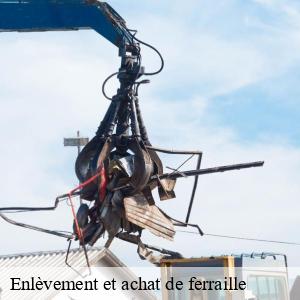 Enlèvement et achat de ferraille lautenbach-68610 Pro Recyclage