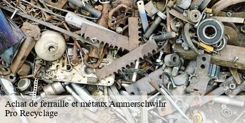 Achat de ferraille et métaux  ammerschwihr-68770 Pro Recyclage 